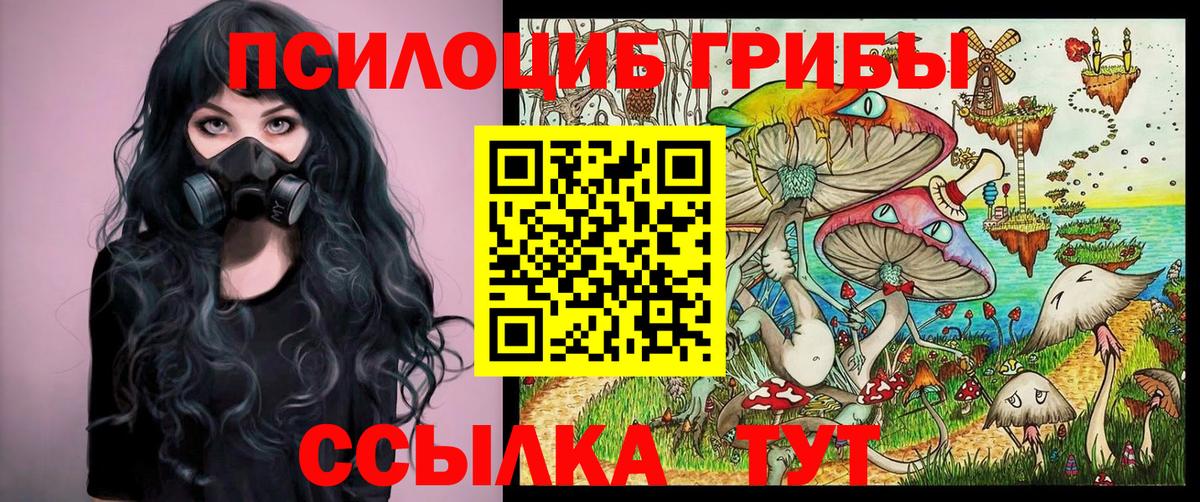 Псилоцибиновые грибы ЛСД Карабулак