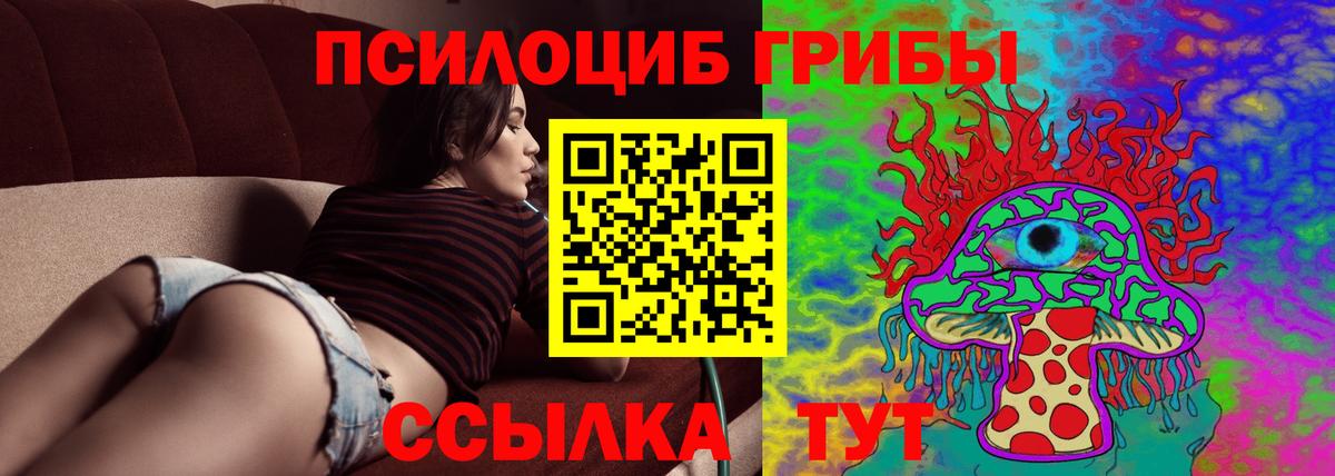 Карабулак  Псилоцибиновые грибы Psilocybe  Вход с VPN 